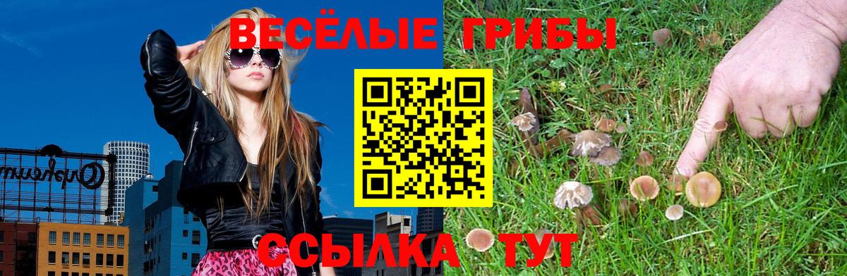 Псилоцибиновые грибы Psilocybe  Псилоцибиновые грибы Cubensis  Вход с VPN  Стрежевой 